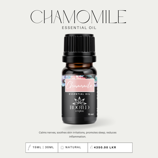 Chamomile Essential Oil