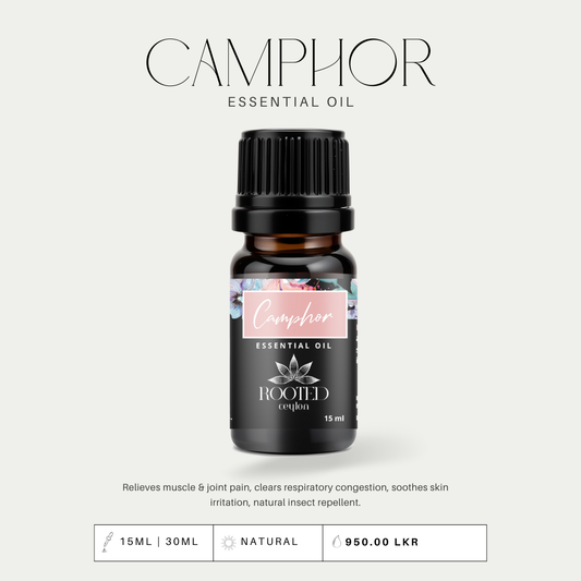 Camphor Essential Oil